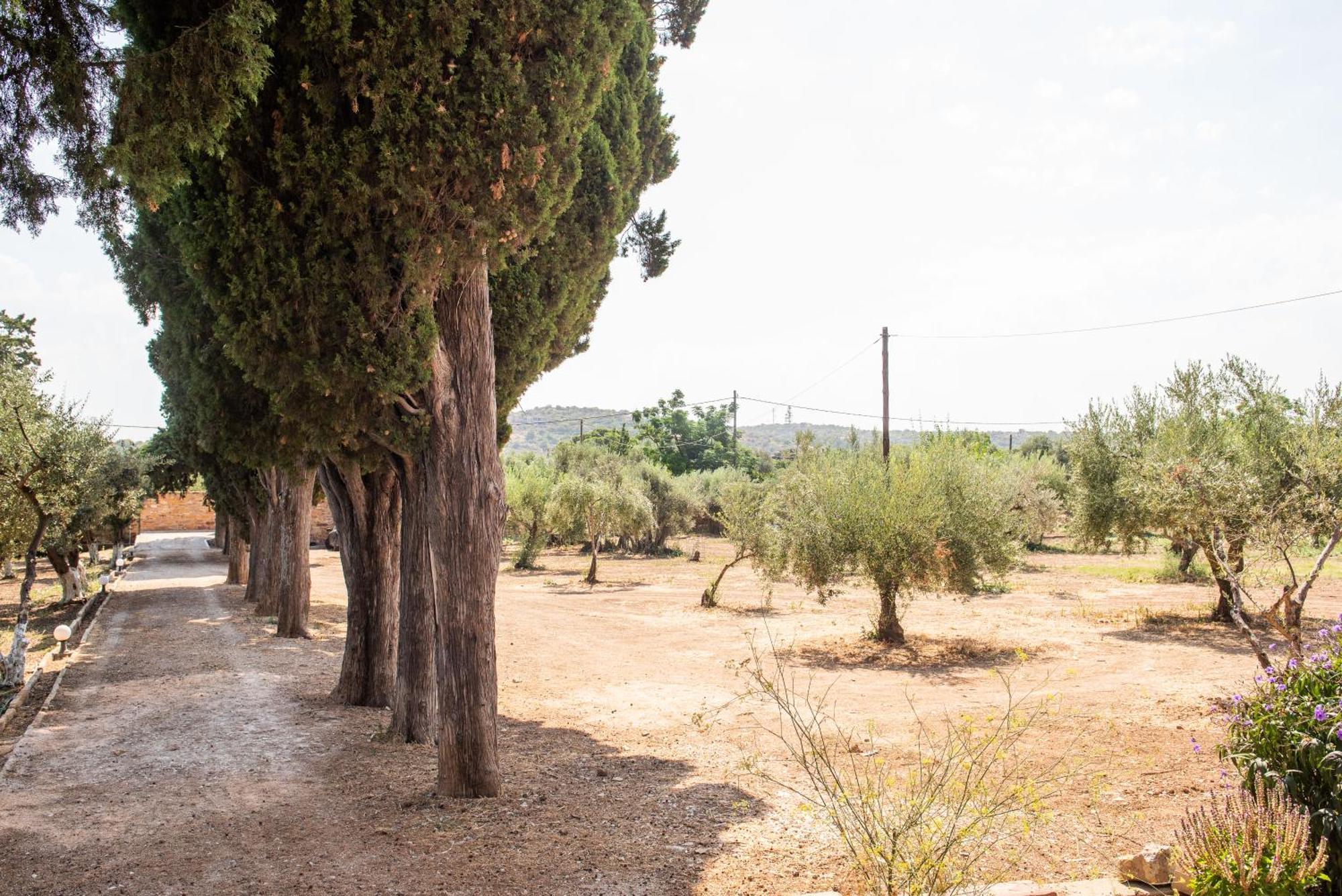 Calvocoressi Estate Χίος Εξωτερικό φωτογραφία