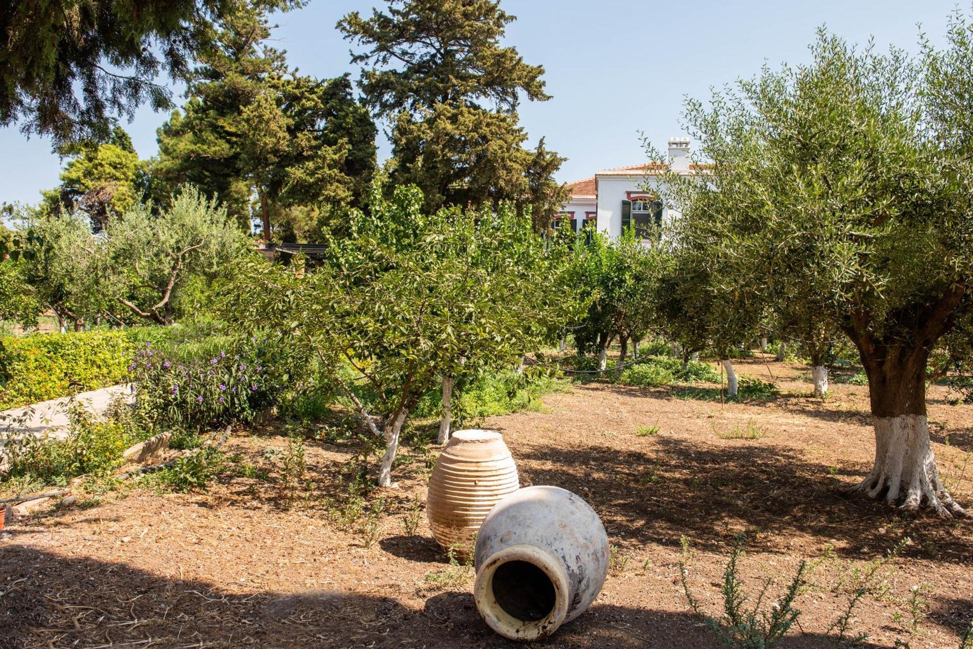 Calvocoressi Estate Χίος Εξωτερικό φωτογραφία