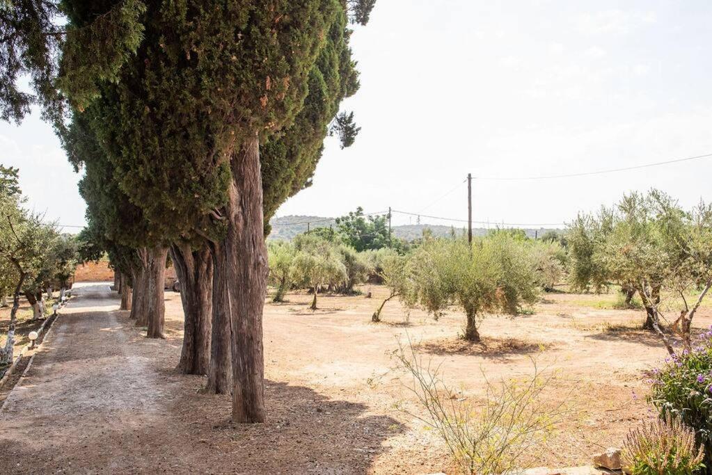 Calvocoressi Estate Χίος Εξωτερικό φωτογραφία